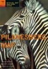 Pilanesberg official map and park guide: Official Map and Park Guide